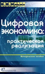 скачать книгу Цифровая экономика: практическая реализация автора Владислав Ильин