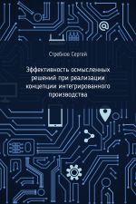 скачать книгу Эффективность осмысленных решений при реализации концепции интегрированного производства автора Сергей Стребков