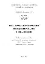 скачать книгу Финансовое планирование и бюджетирование в организации автора Наталья Зарук