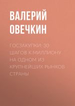 скачать книгу Госзакупки: 30 шагов к миллиону на одном из крупнейших рынков страны автора Валерий Овечкин