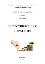 скачать книгу Инвестиционная стратегия автора Наталья Зарук