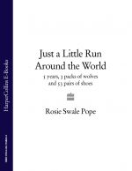 скачать книгу Just a Little Run Around the World: 5 Years, 3 Packs of Wolves and 53 Pairs of Shoes автора Rosie Swale