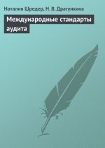 скачать книгу Международные стандарты аудита автора Наталья Шредер