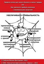 скачать книгу Правила успеха для малого бизнеса в малых городах, или Как увеличить прибыль компании с минимальными затратами автора Михаил Соболев