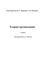 скачать книгу Теория организации автора Валентина Борисова