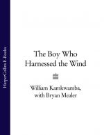 скачать книгу The Boy Who Harnessed the Wind автора Bryan Mealer