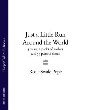 обложка книги Just a Little Run Around the World: 5 Years, 3 Packs of Wolves and 53 Pairs of Shoes автора Rosie Swale