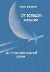Книга От большой авиации до профессиональной кухни автора Игорь Калинин