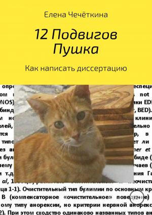 обложка книги 12 подвигов Пушка автора Елена Чечёткина