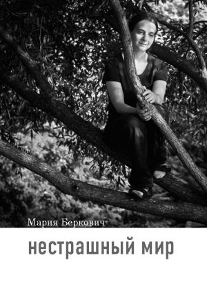 обложка книги Нестрашный мир автора Мария Беркович