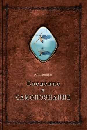 обложка книги Введение в самопознание автора Александр Шевцов